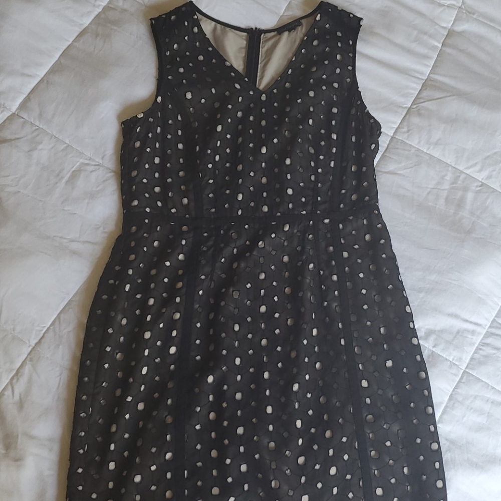 Dress by the Limited
